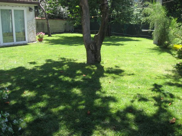 IMG 0053