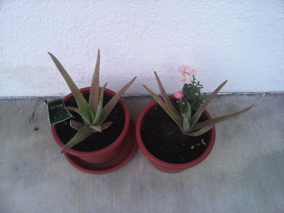 IMG 20140622 185815