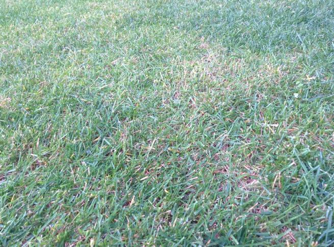 IMG 20150105 170921