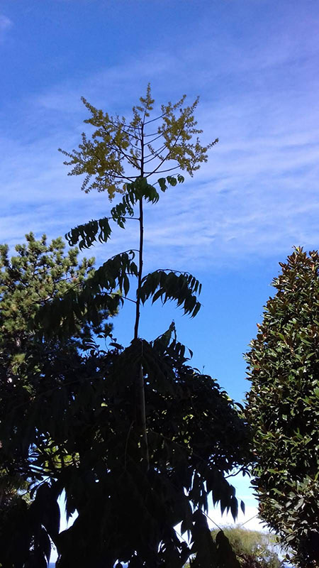 IMG-20180929-WA0000