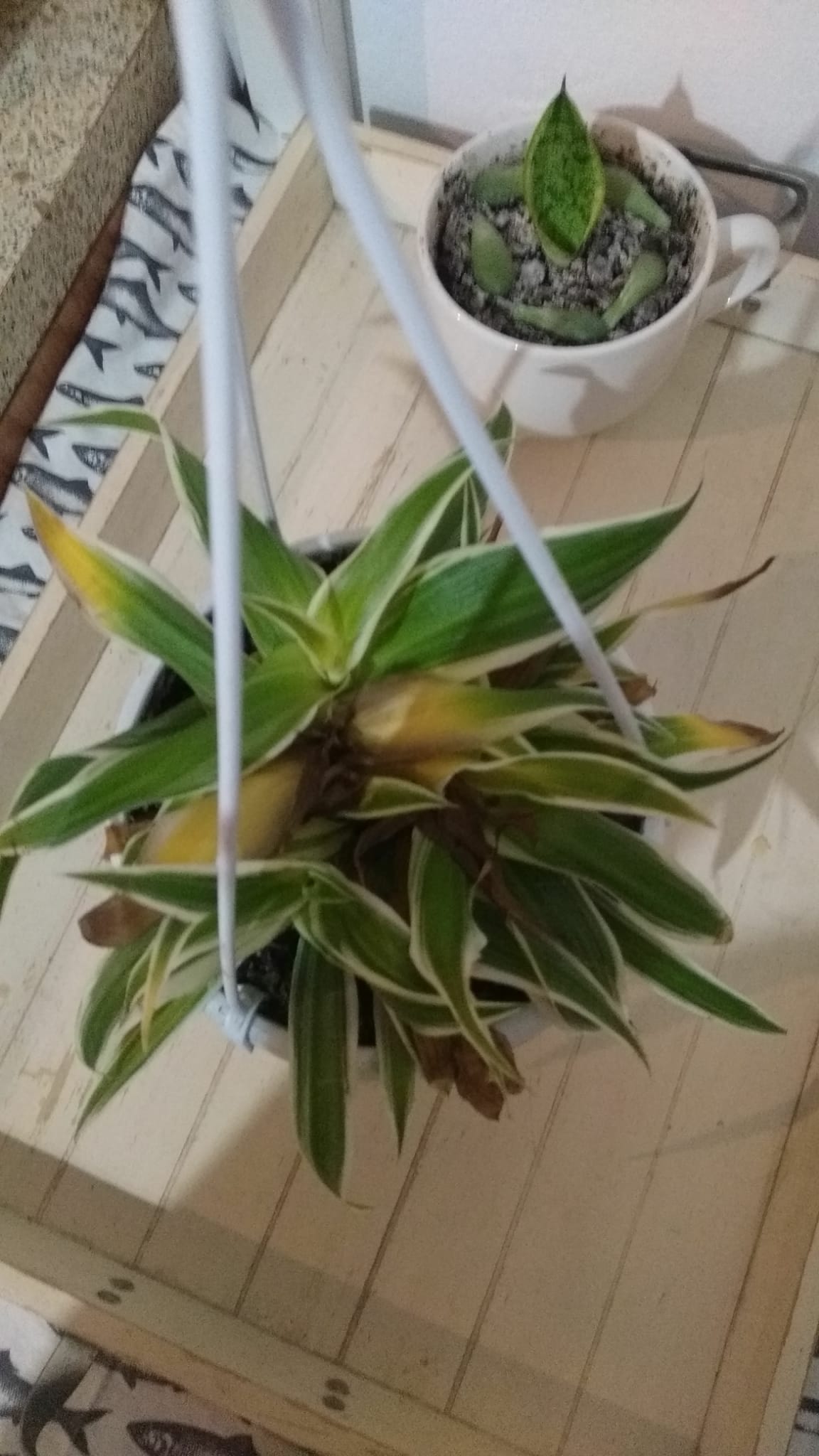IMG-20191127-WA0065