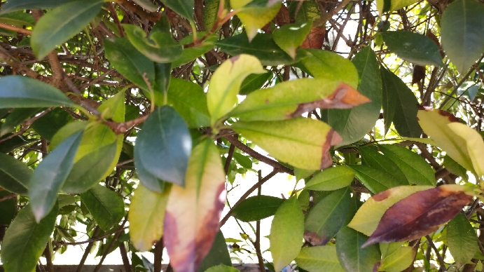 IMG20201004124336_resize_25