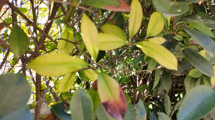 IMG20201004124343_resize_64