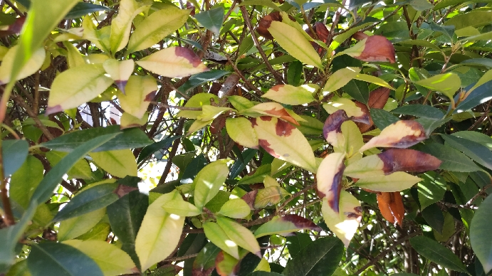 IMG20201004124349_resize_92