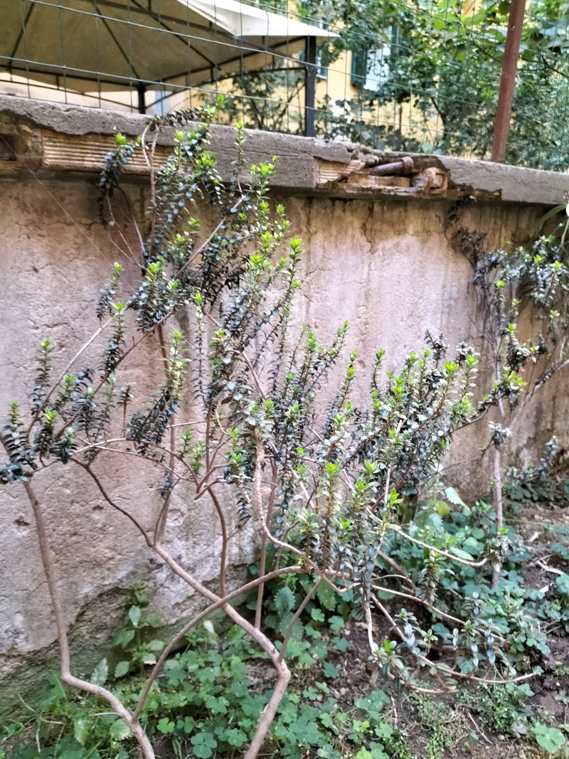IMG20220613061824.jpg