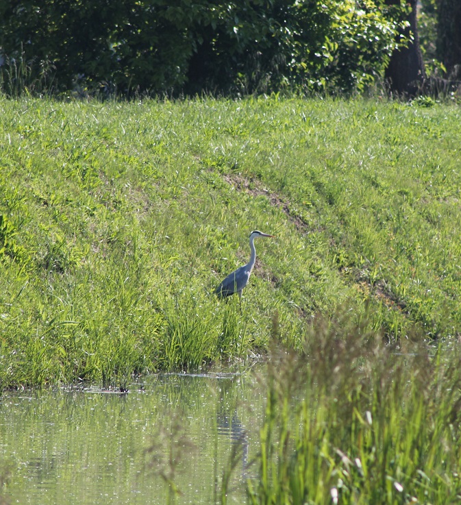 IMG_0721