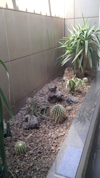 IMG_20150730_144235 (Copy)