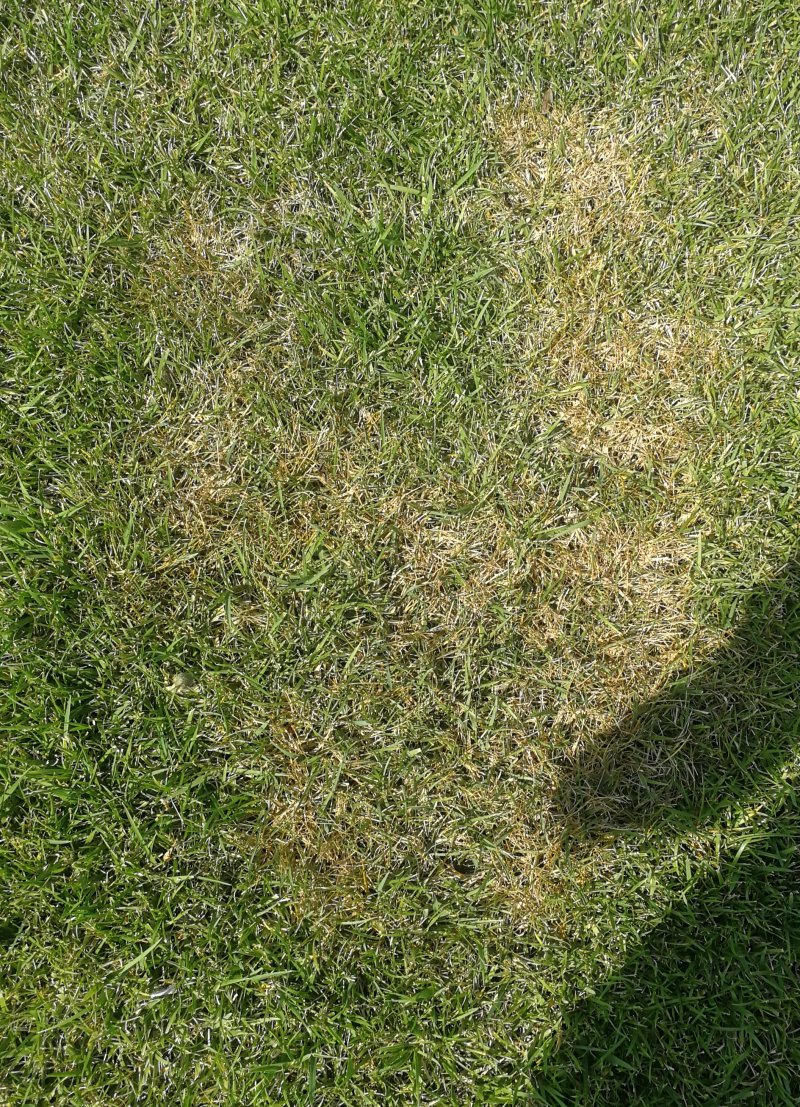 IMG_20240819_143401.jpg