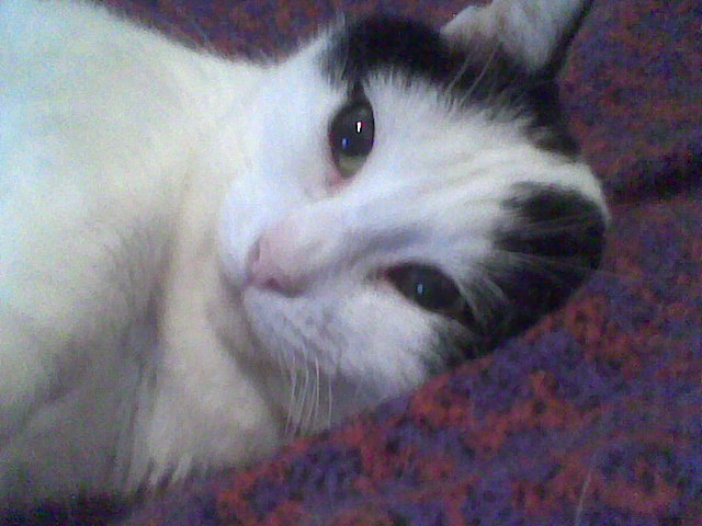 Jerry