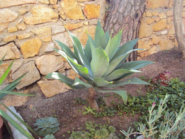 la maddalena 061