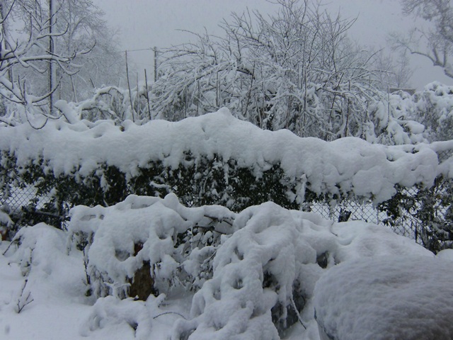 La nevicata del 2012