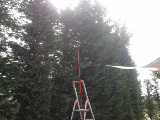 laylandii 2.1 20141016 120427