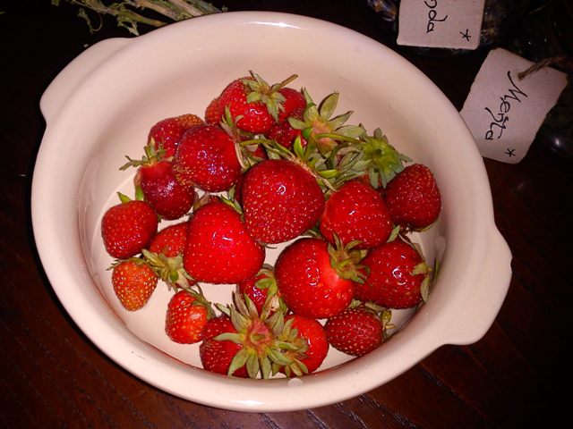 Le mie ultime fragole '14