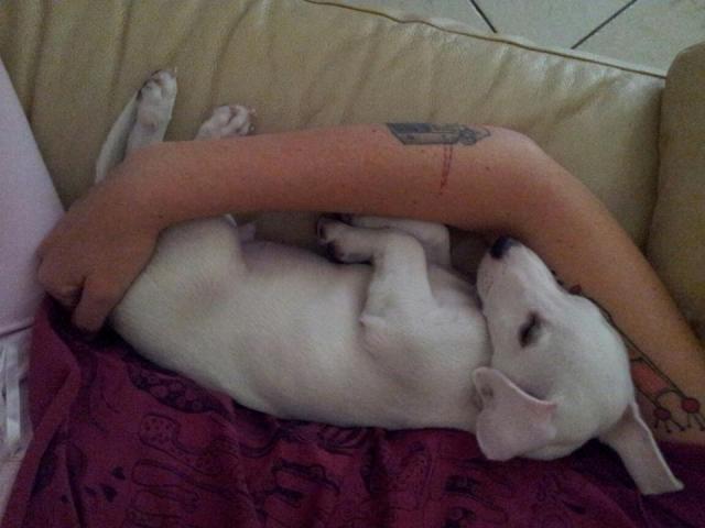 Le ninne.