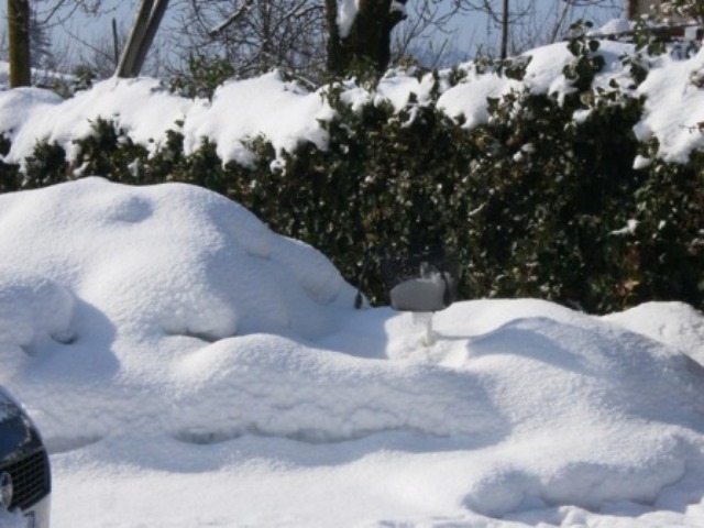 Neve sull'aiuola delle aromatiche (2012)