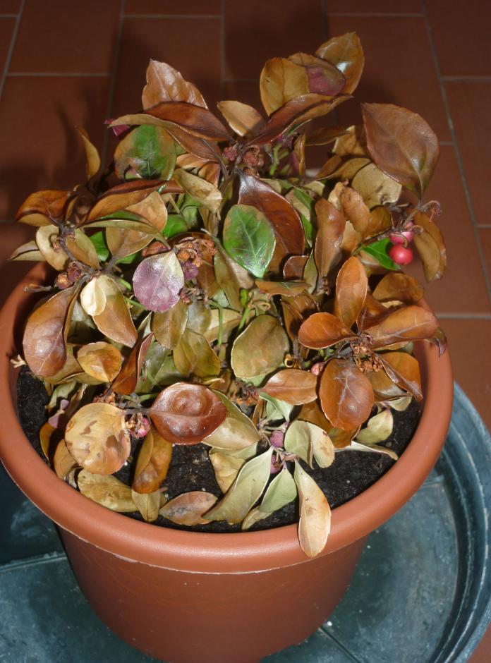 P1010655
