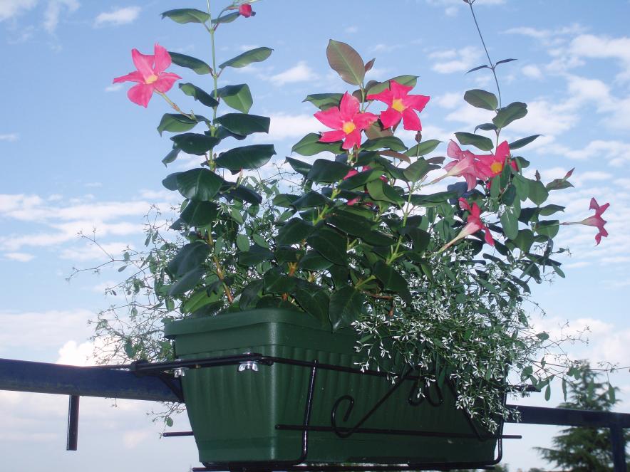 P1014360