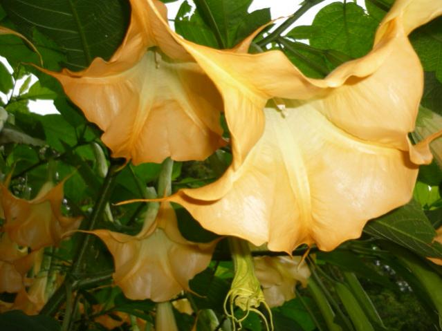 P1040673