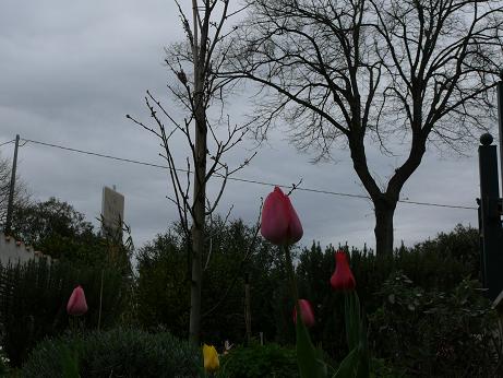 P1070960