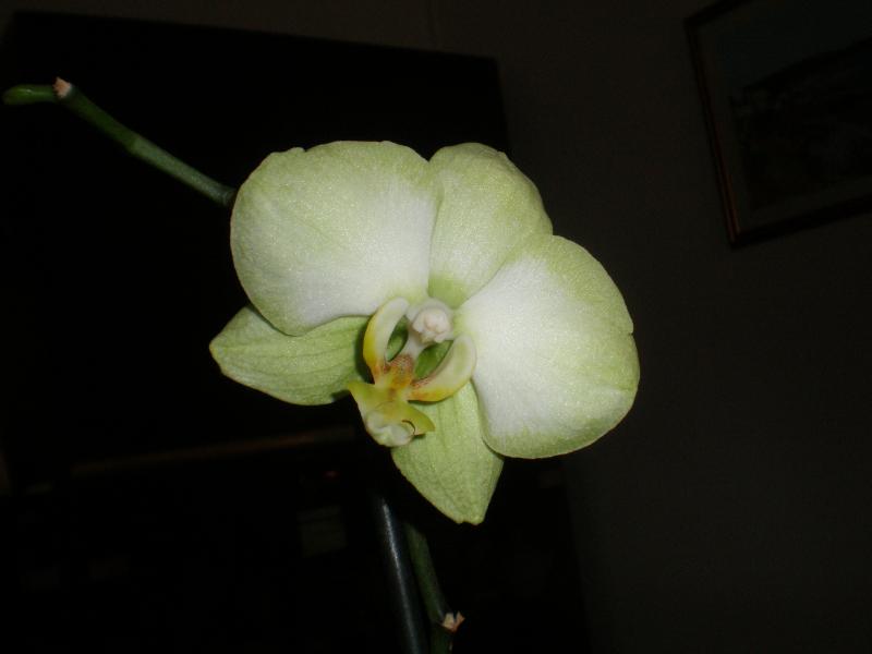 P3100191