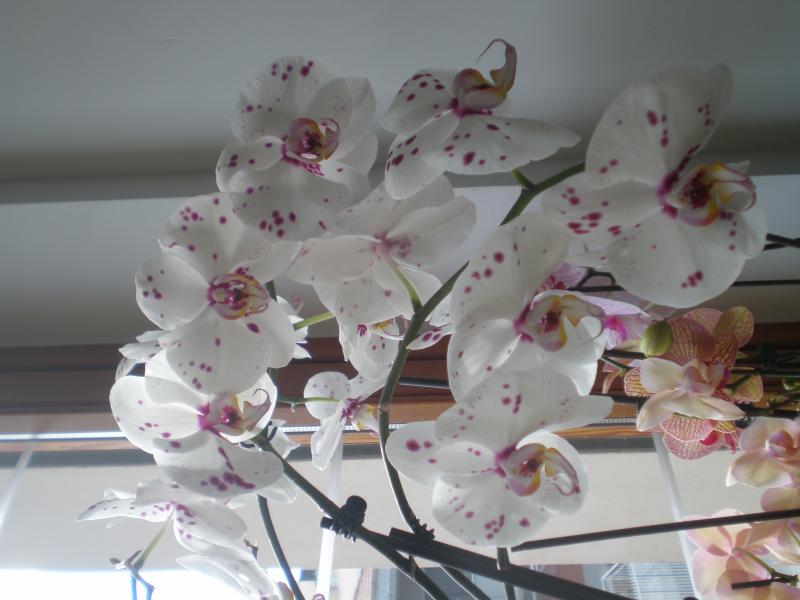 P3100204