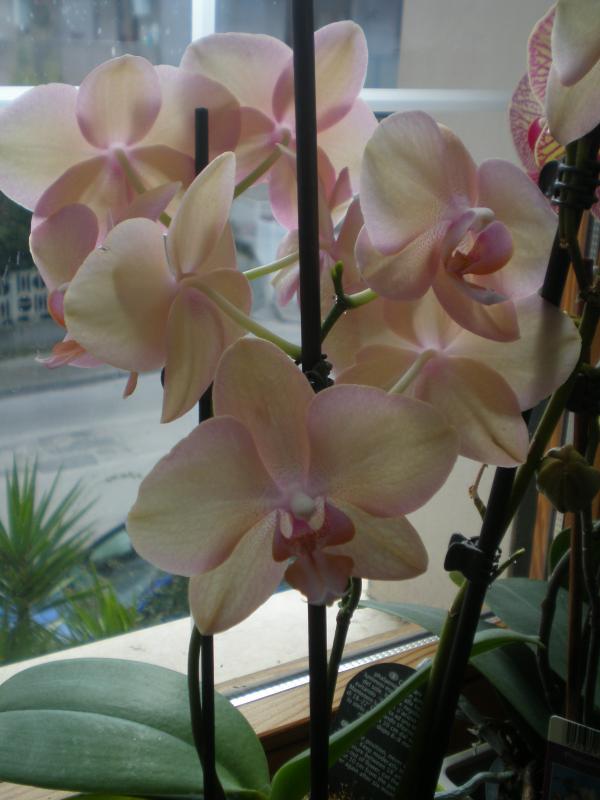 P3100207