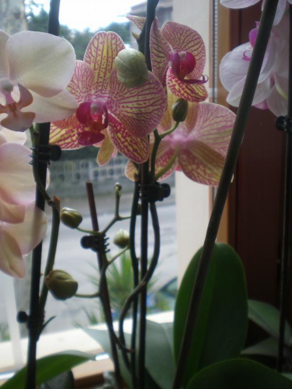 P3100208