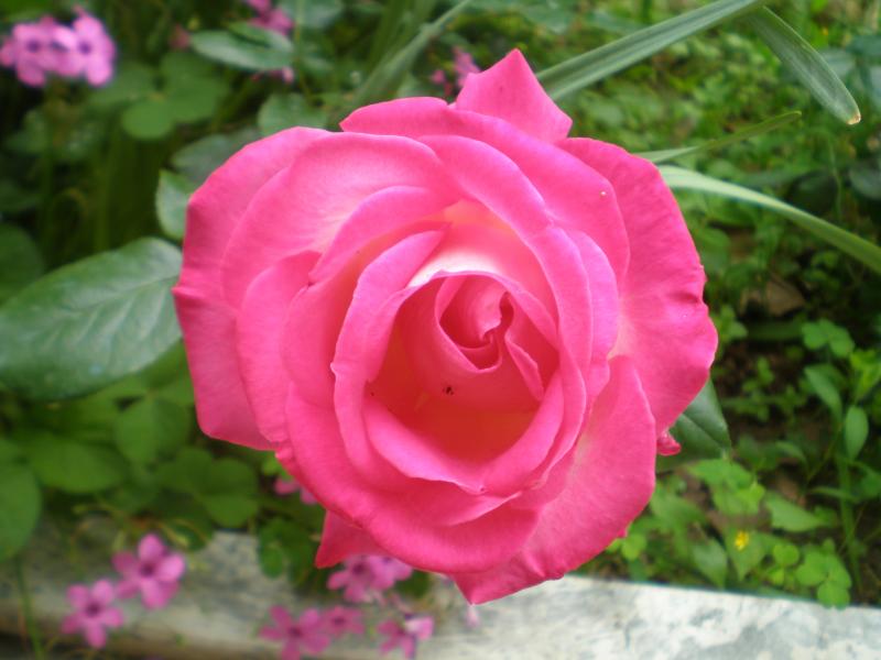 P5015171