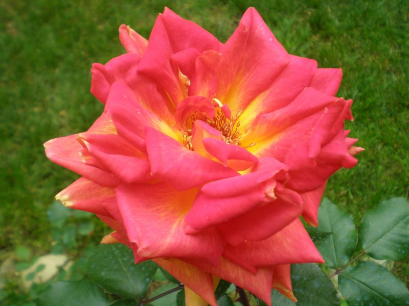P5015173