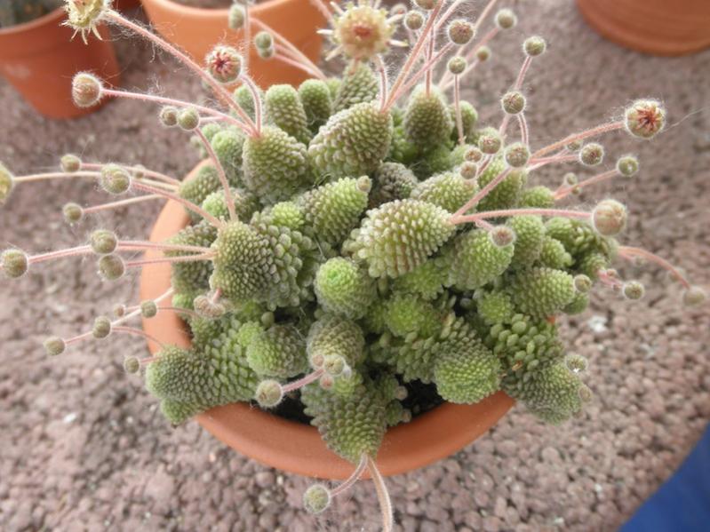 P6020358