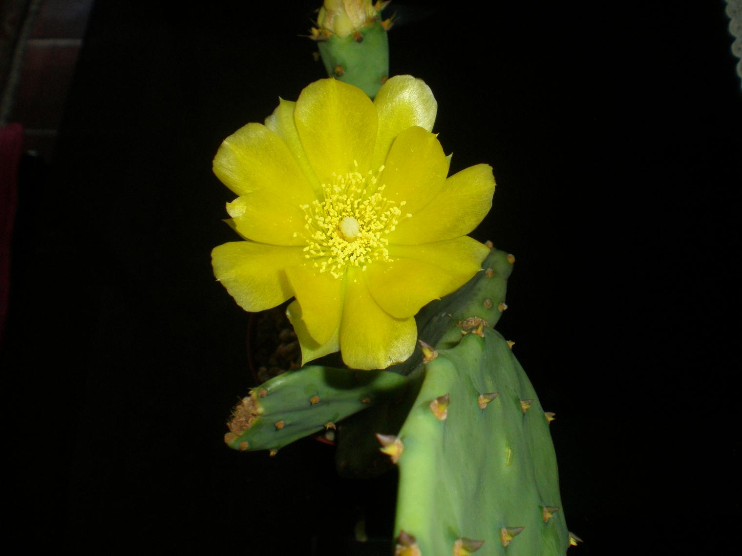 P6110619