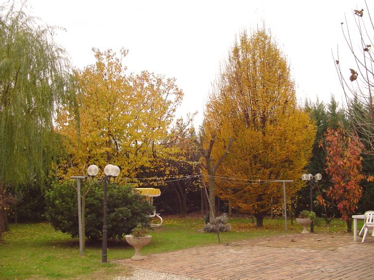 panoramica fronte casa - autunno