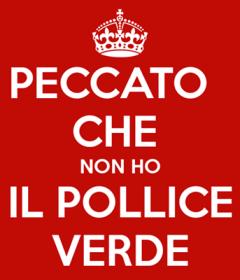 peccato che non ho il pollice verde