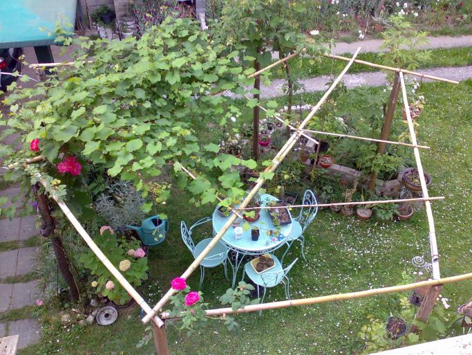 pergola