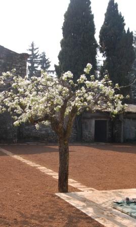 pero terzo giardino com