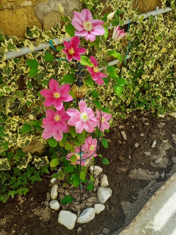 PicsArt_05-02-03.33.33-600x800