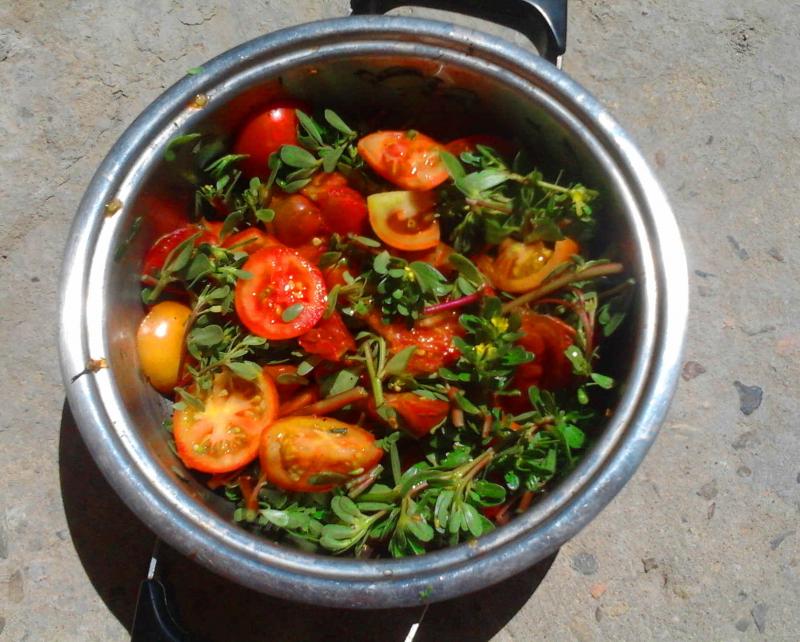 portucala e pomodori della casa!