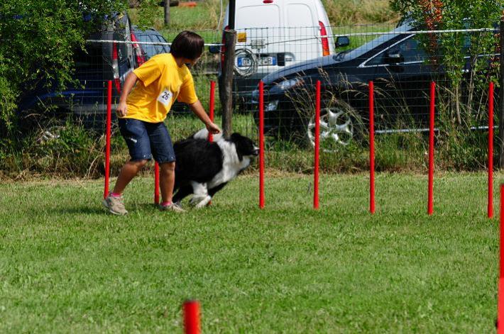 pratichiamo a livello agonistico agility dog...