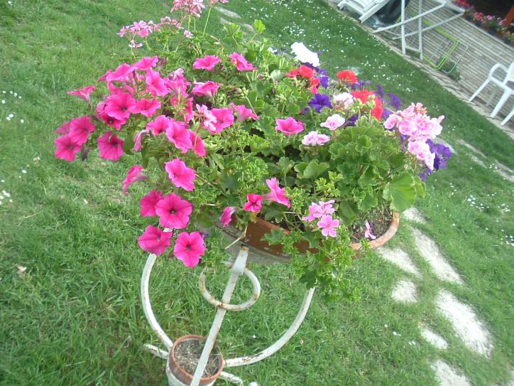 PRIMAVERA ESTATE 2012 068