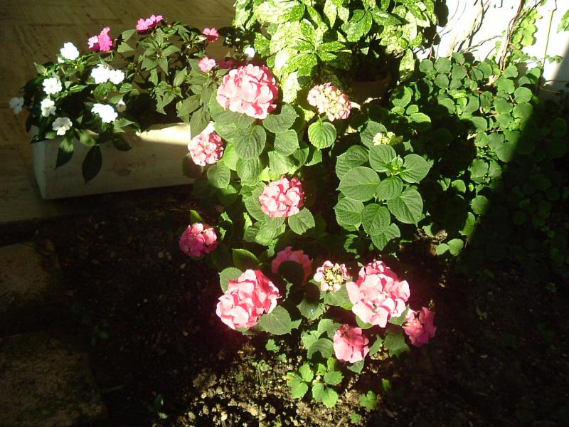 PRIMI DI GIUGNO 003
