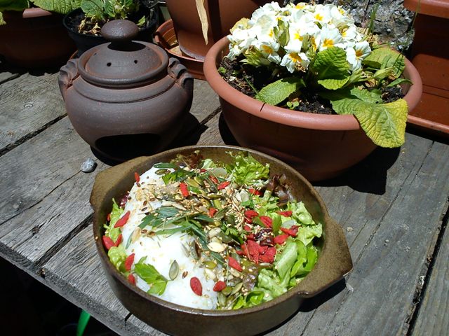 Riso con radicchi di campo, sedano selvatico, dragoncello, semi vari e bacche di goji.