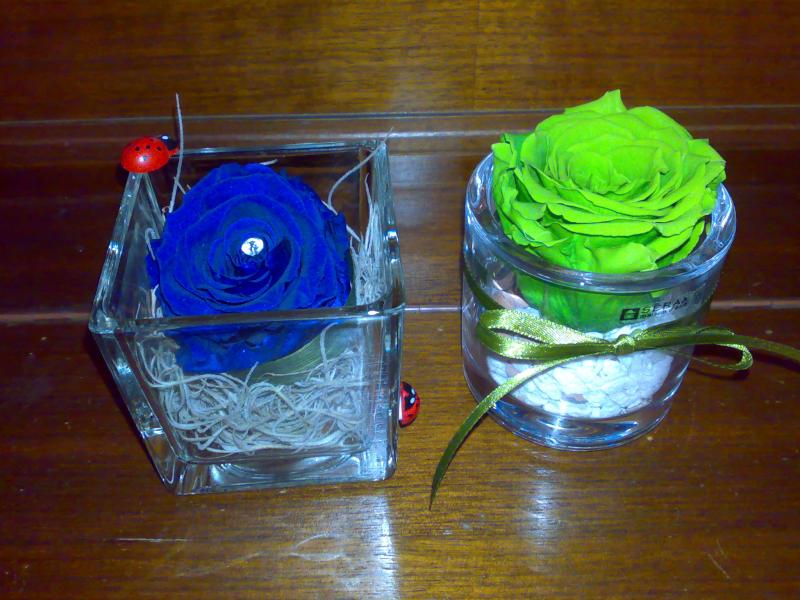rose mummificate