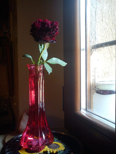 Roselline senza nome