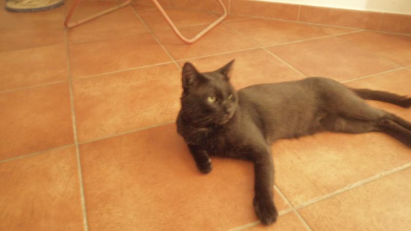 SAM 0730