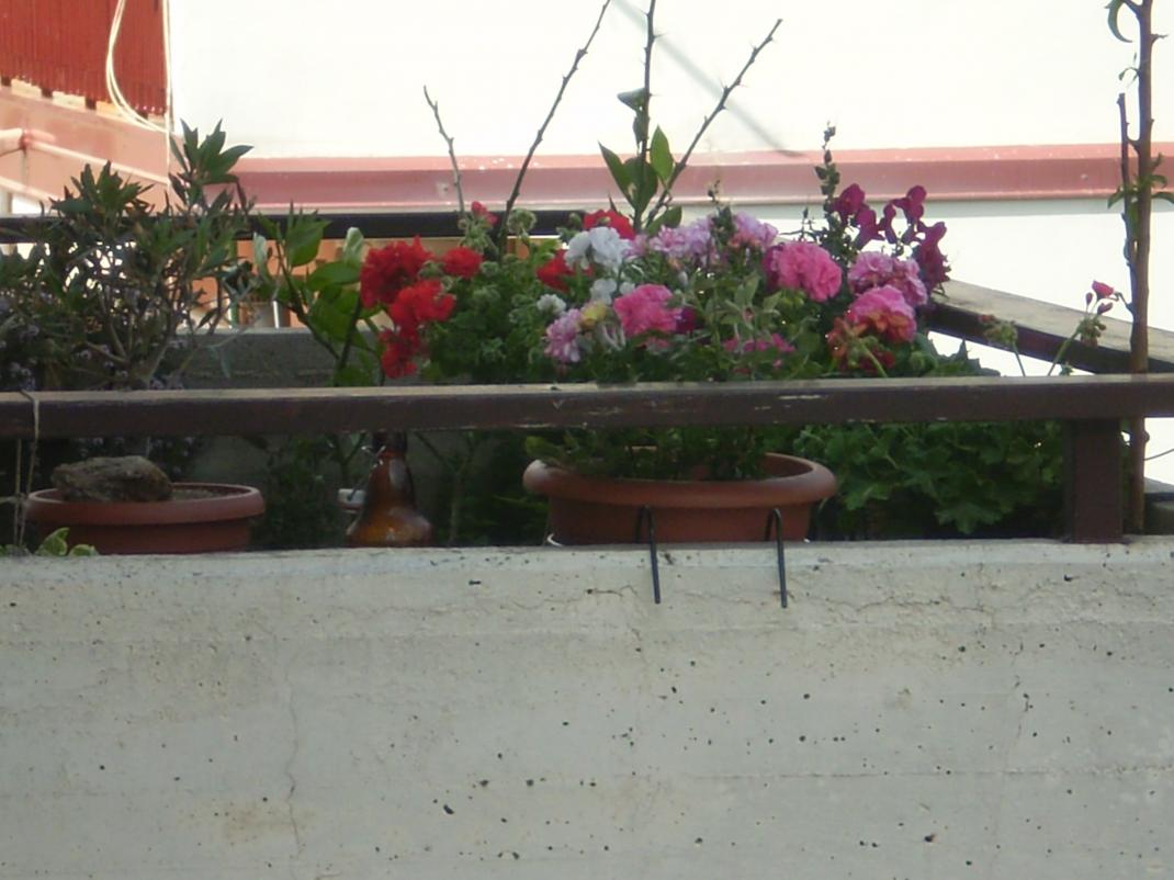 Scorcio lato ovest da fuori