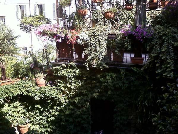 scorcio nel verde cittadino 2