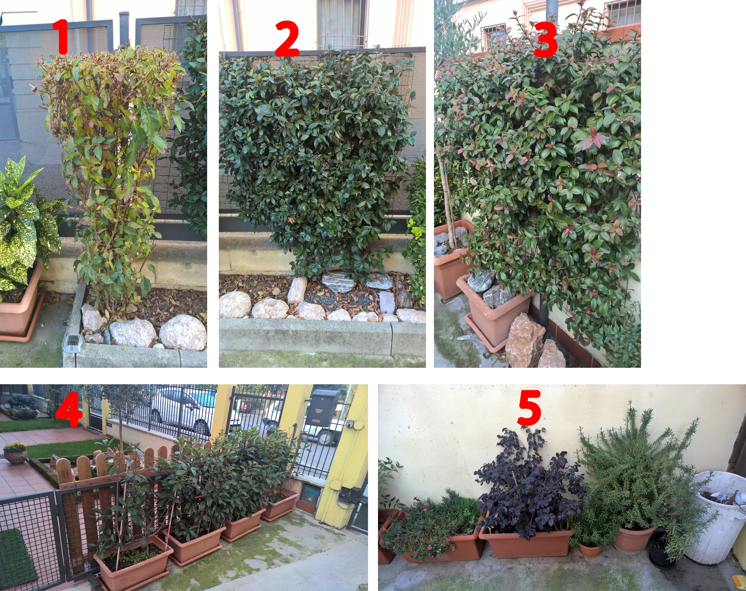 Senza Titolo-1