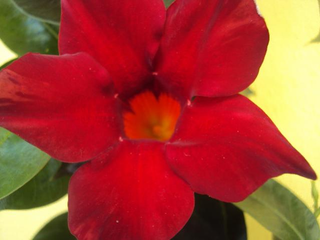 settembre 006