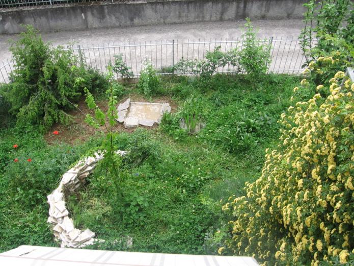 spociga per ninfea 001