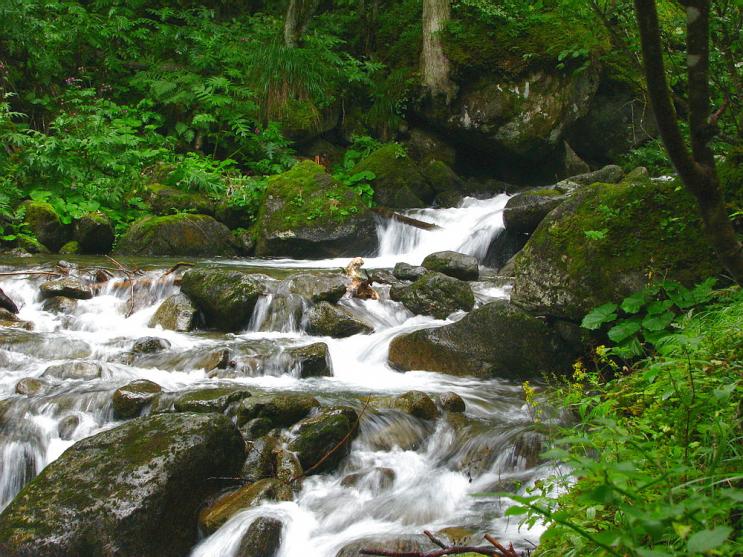 torrente..val di sole.